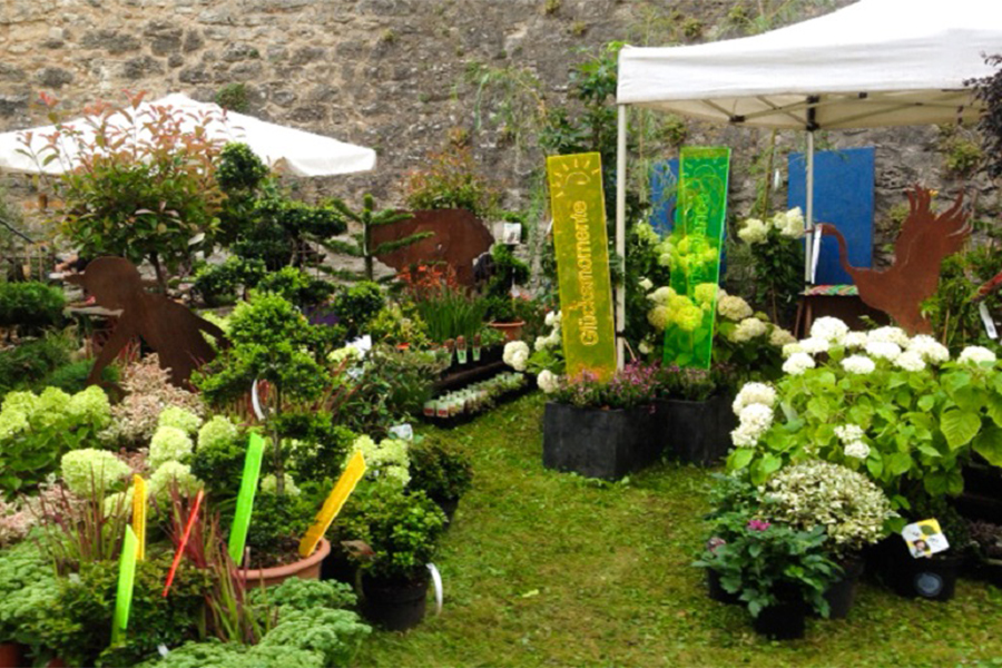 Baumschule & Gartencenter Heckmann